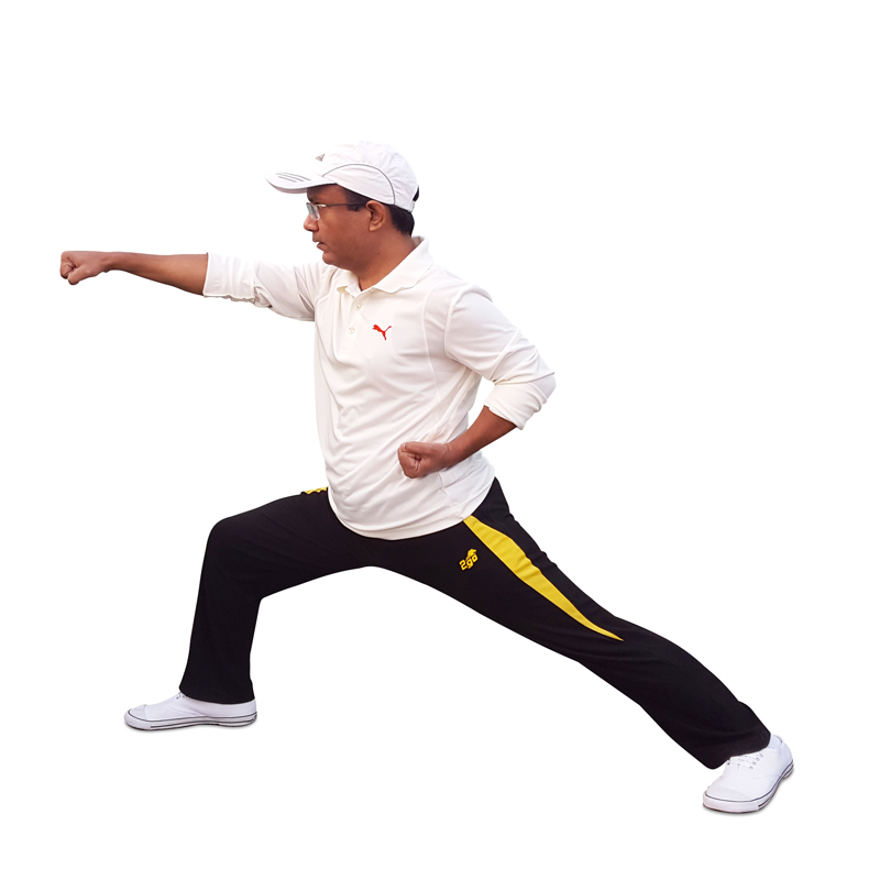 Kung Fu Stances